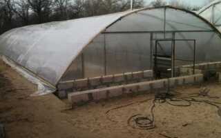 Как сделать теплицу своими руками в домашних условиях