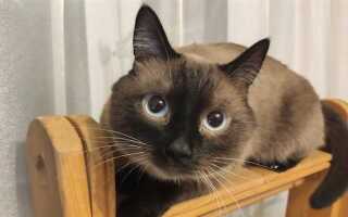 Как соединить три плинтуса в одном углу