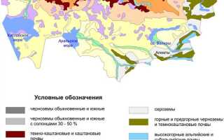 Какой тип почвы изображен на картинке
