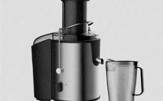 Какую соковыжималку купить для большого количества яблок