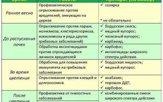 Чем опрыскивать деревья весной от вредителей и болезней