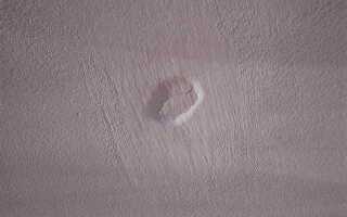 Треснула штукатурка под обоями что делать