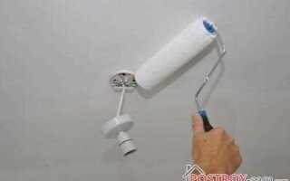 Как покрасить гипсокартон водоэмульсионной краской