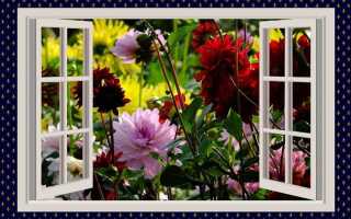 Какие окна лучше ставить в частный дом из газобетона