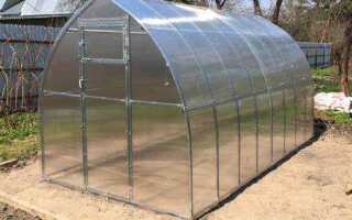 Сколько градусов минус выдерживает теплица из поликарбоната