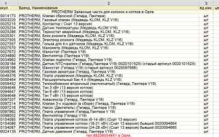 Protherm котел газовый напольный как включить
