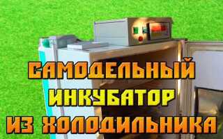 Как собрать инкубатор из холодильника
