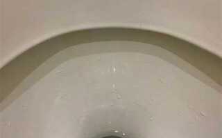 Чем заткнуть унитаз на время отъезда