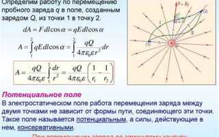 Какие заряды движутся в проводнике
