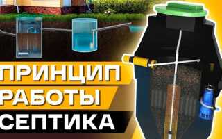 Как запустить септик после долгого простоя
