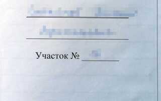 Что делать если никто не хочет быть председателем снт