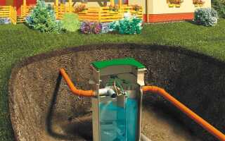 Для чего подселяют бактерии в септик