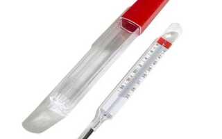 Не ртутный градусник что внутри