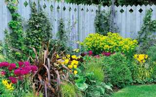 Какие цветы посадить вдоль забора многолетники