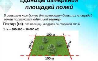 Как узнать сколько стоит сотка земли