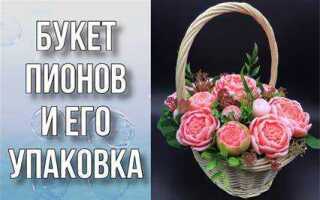 Что делать с пионом купленным в коробке в феврале