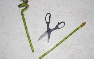 Как сделать флейту из бамбука