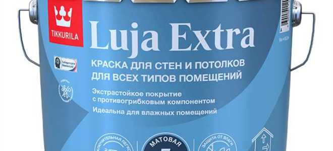 Какая краска лучше тиккурила или делюкс