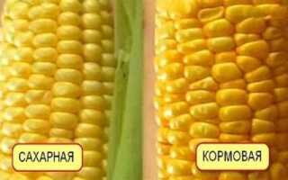 Для чего нужна фреза кукуруза
