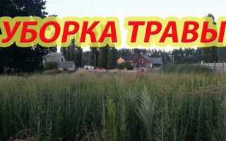 Как убрать старую траву на заброшенном участке