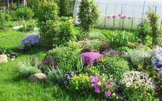 Что посадить на альпийскую горку в тени