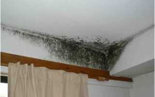 Почему вытяжка дует в обратную сторону в частном доме