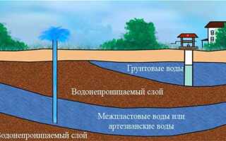 Как определить уровень грунтовых вод по растениям