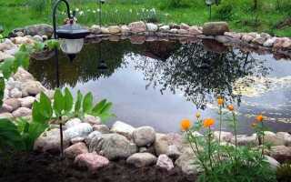 Сколько стоит сделать пруд на участке