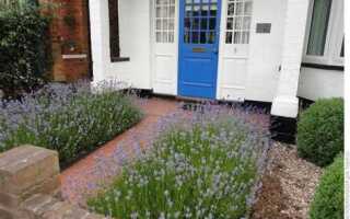 Что посадить рядом с хостами вдоль дорожки