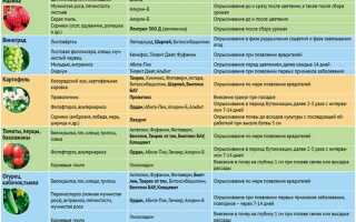 Когда обработать сад весной от вредителей и болезней