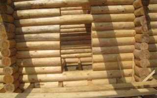 Что лучше сосна или ель для строительства