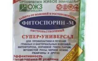 Как хранить разведенный фитоспорин из пасты