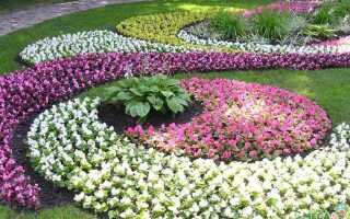 Как посадить цветы в бочку