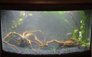 Как распределить нагрузку от аквариума