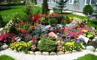 Какие цветы посадить на альпийской горке