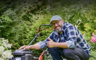 Чем скосить сухие стебли травы на целине