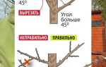 Как легче расколоть деревянную заготовку