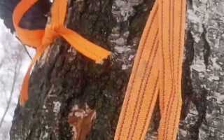 Как сделать веревку в лесу