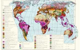 Какие почвы являются самыми плодородными на земле