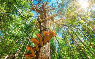 Как построить дом в лесу своими руками без инструментов