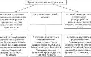 Документы на землю в собственность как выглядит