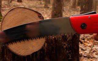 Как сделать спилы дерева своими руками бензопилой