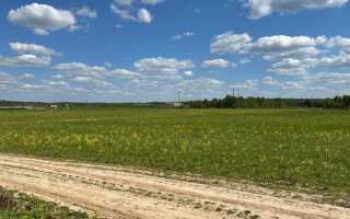 Какая чистота приема антенны в деревне отяково