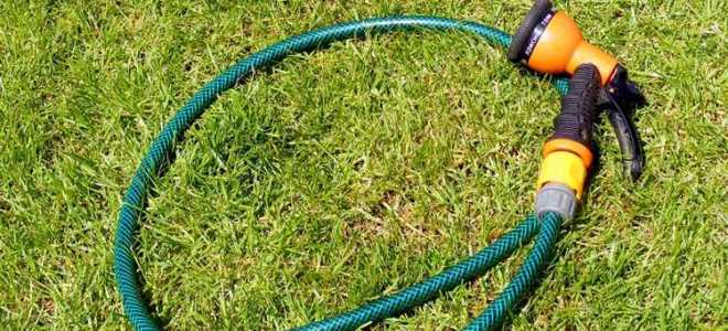 Шланг для полива растягивающийся какой лучше