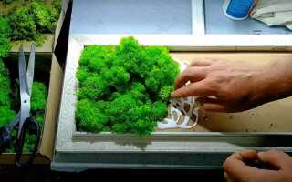 Как клеить мох стабилизированный на панно