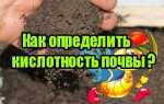 Какую почву любят хосты по кислотности