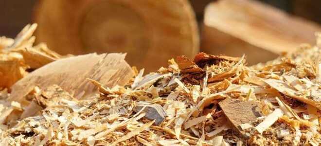 Как сделать перепревшие опилки для мульчирования быстро