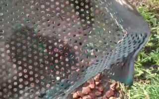 Как сделать сито в домашних условиях