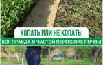 Там где была сажа копоть