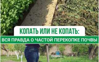 Там где была сажа копоть
